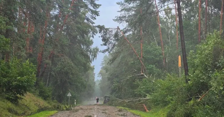 Skelbia vaizdus: škvalas šluoja medžius, užversti keliai – įspėja, kas laukia toliau
