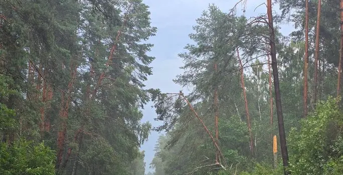 Neįtikėtinas kadras: tai, ką pavyko užfiksuoti audros metu, atima žadą