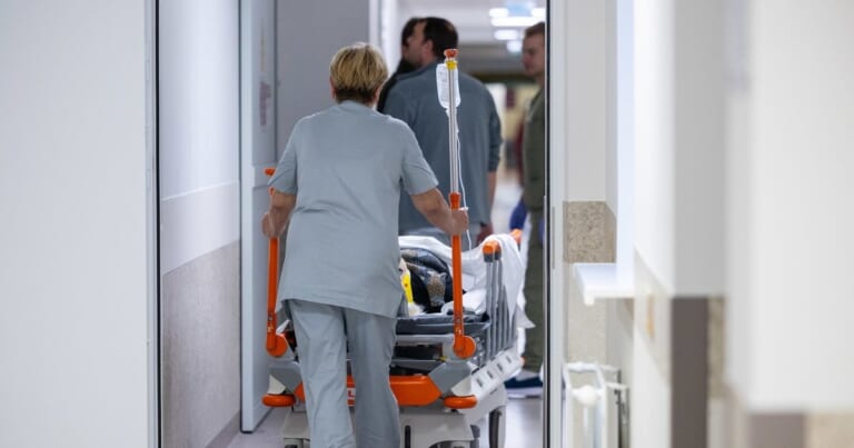 Mirtinas grybų sezono pavojus: šįkart pražudė ne musmirė
