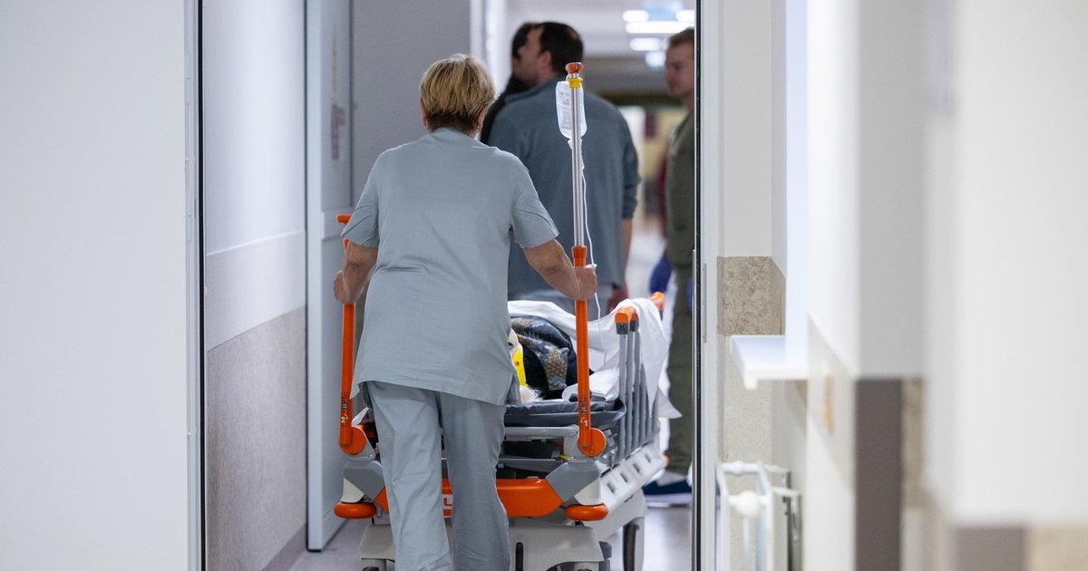 Mirtinas grybų sezono pavojus: šįkart pražudė ne musmirė