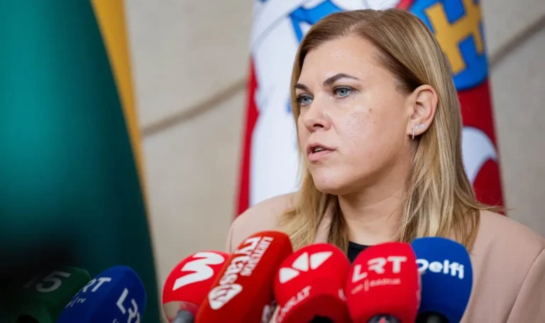 Turintiems ne pirmą būstą gali tekti mokėti daugiau: ministrė siūlo didesnius mokesčius