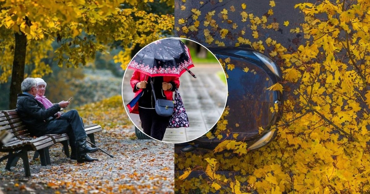 Spalis pateiks netikėtą staigmeną: Naglis Šulija įvardijo, kada šils iki 16 laipsnių ir sugrįš lietus