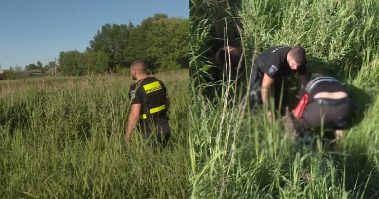 Prie tvenkinio prasidėjo netikėta drama: gelbėtojams teko bristi paskui agresyvią moterį