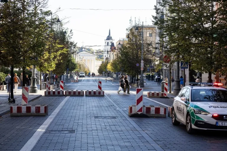 Vilniaus centre kilo įtampa: per protestus – smūgis moteriai, sulaikymai ir petardos sprogimas