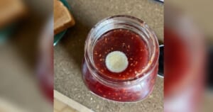 Ant uogienės pastebėjote pelėsį: ekspertai įspėja, kodėl neužtenka nugriebti viršutinio sluoksnio
