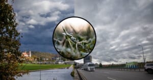 Šalnos traukiasi, bet ramybės nebus: Lietuvą netrukus užlies lietus ir talžys stiprus vėjas