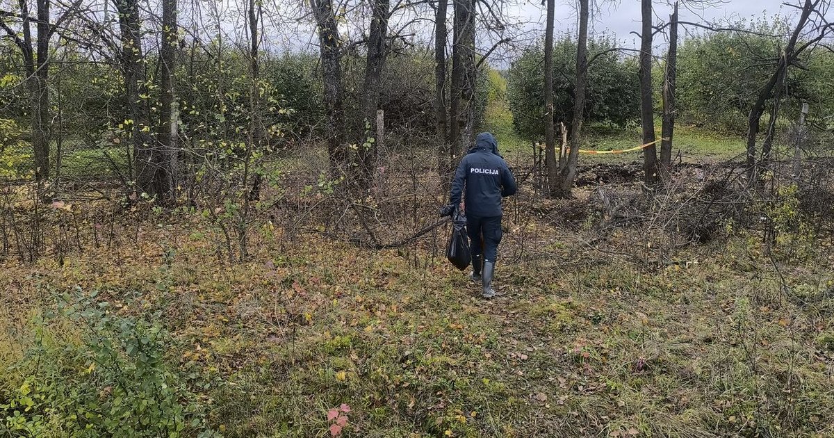 Drono sprogimas Lietuvoje: pareigūnai paskelbė, kur bus vertinamas incidentas