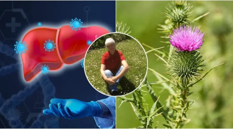Norintiems pasirūpinti kepenimis žolininkė pataria atkreipti dėmesį į vieną gerai žinomą augalą