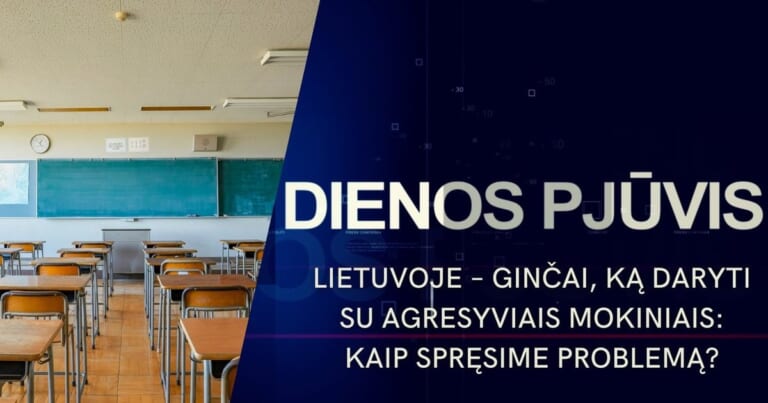 Agresija mokyklose kursto ginčus: kaip apsaugoti bendruomenę ir neatimti vaiko teisės mokytis?