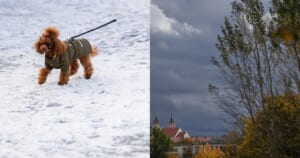 Žiemos prognozė Lietuvai jau ryškėja: klimatologas įspėjo nepamiršti vieno svarbaus dalyko
