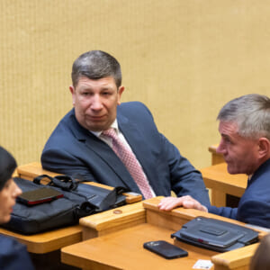 Antanas Nedzinskas prisipažino balsavęs iš kolegos vietos
