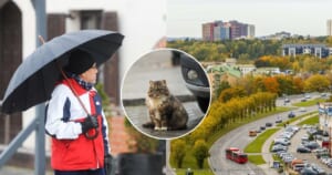 Šiluma netrukus trauksis: klimatologas įvardijo, kada smogs rudeniška vėsa