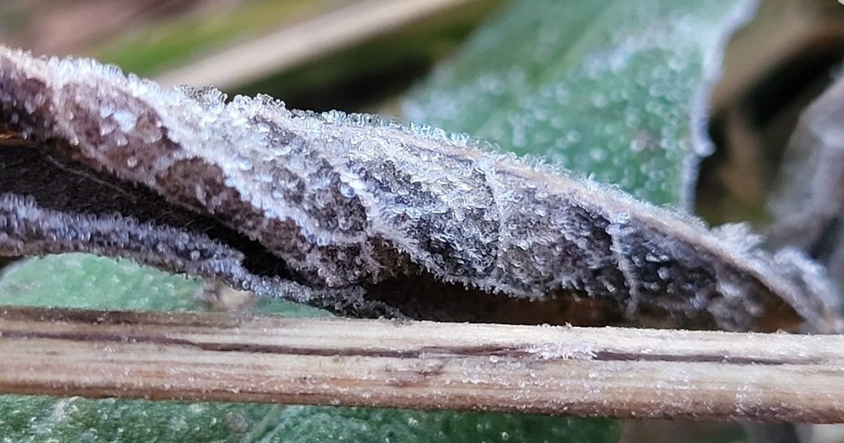Savaitgalio orai nustebins: sinoptikai perspėja apie rūką, šalnas ir lietų