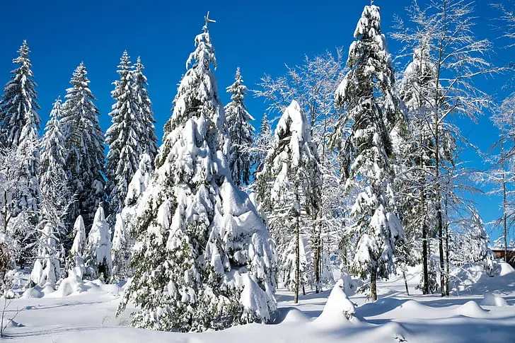 Didelė staigmena dėl žiemos Lietuvoje: meteorologinės prognozės stebina – taip gali nutikti pirmą kartą istorijoje