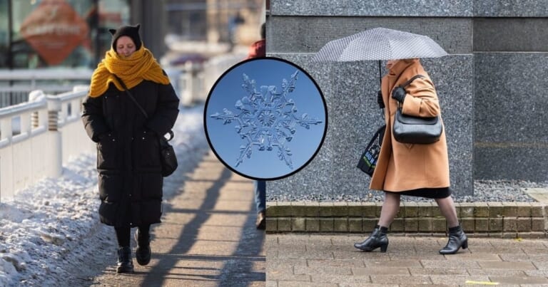Žiemos prognozė jau stebina: lenkų meteorologai atskleidė, kada gali padaugėti sniego
