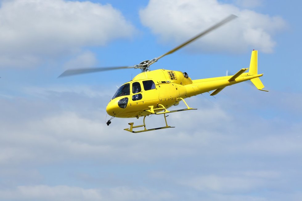 Sraigtasparnis (nuotr. 123rf.com)