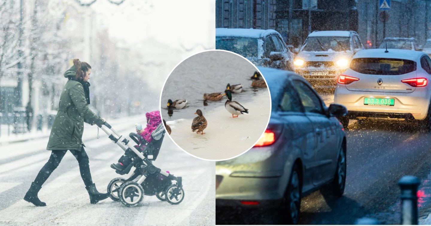 Jau žino, kokia orai mūsų laukia žiemą: viską parodė pati gamta