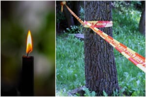 Jurbarko rajono miške – sukrečiantis radinys