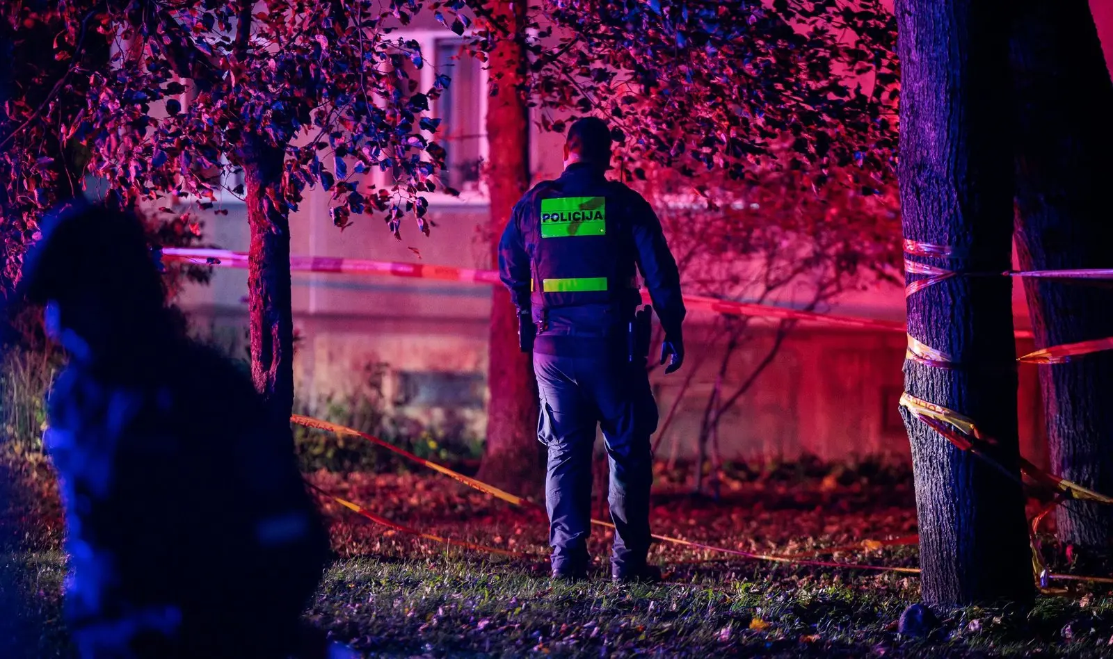 Kaune naktinis įsibrovimas baigėsi siaubinga mirtimi