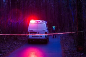 Kraupus radinys sostinės miškelyje
