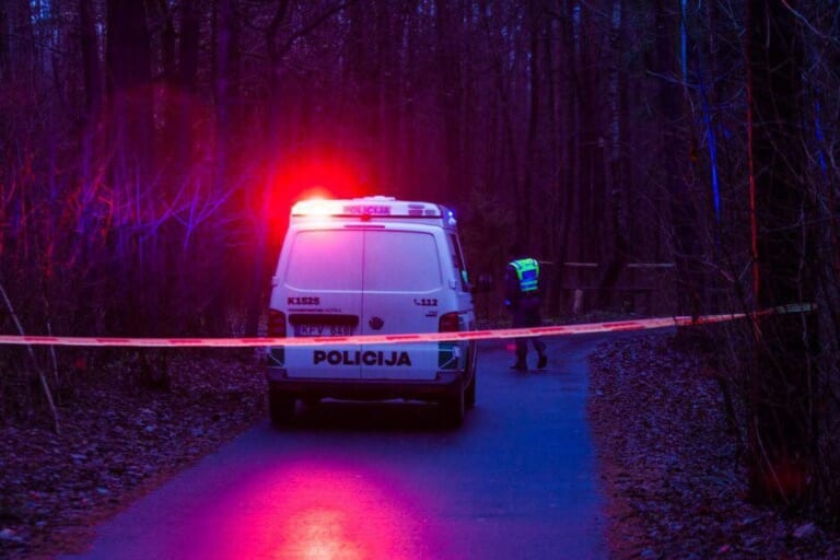 Kraupus radinys sostinės miškelyje