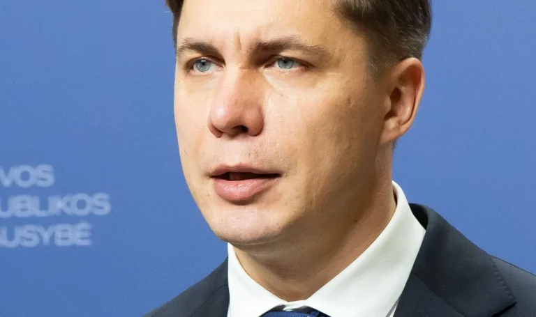 Lietuvoje gali atsirasti naujų mokesčių, o esami – dar labiau didėti