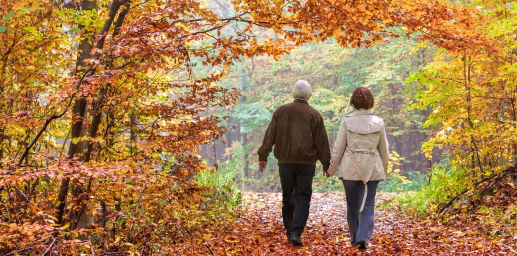 Rear view on senior couple walking in autumn under tree canopy in forest